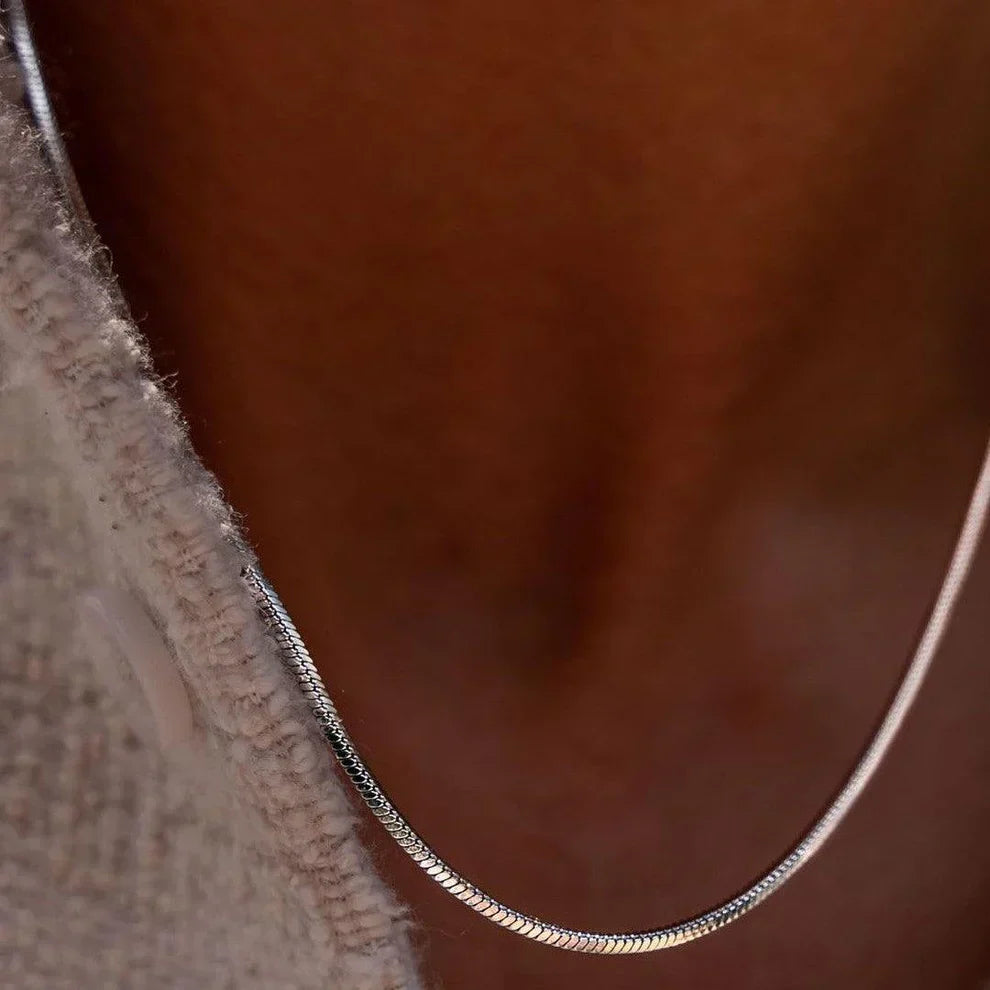 Stainless Steel Loro Man's Necklace