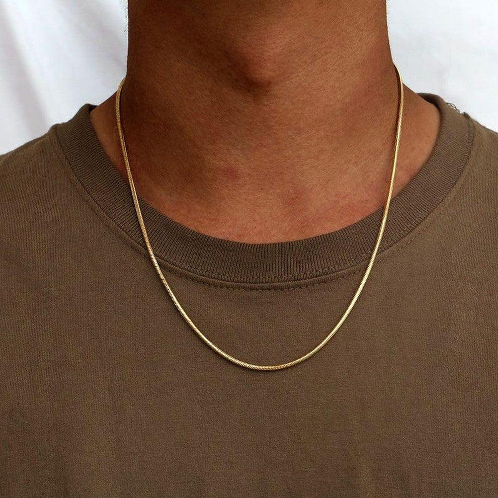 Stainless Steel Loro Man's Necklace