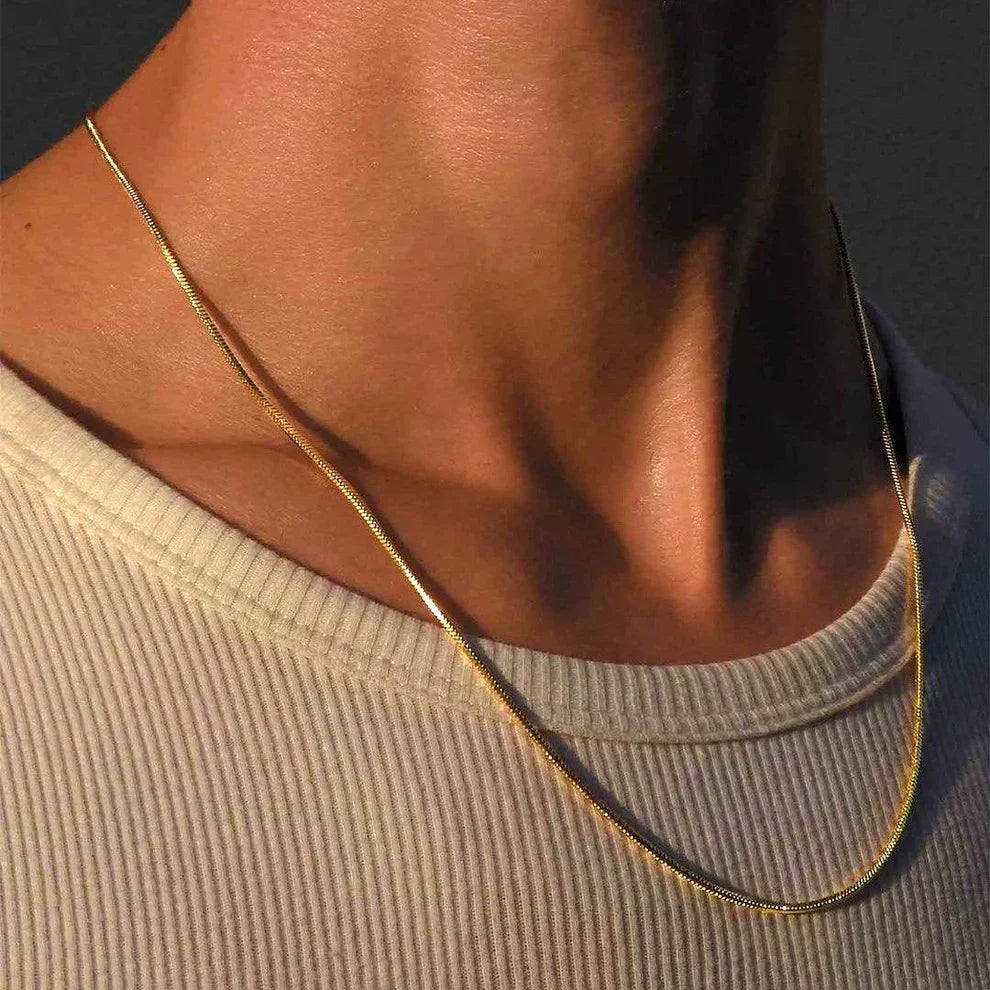 Stainless Steel Loro Man's Necklace