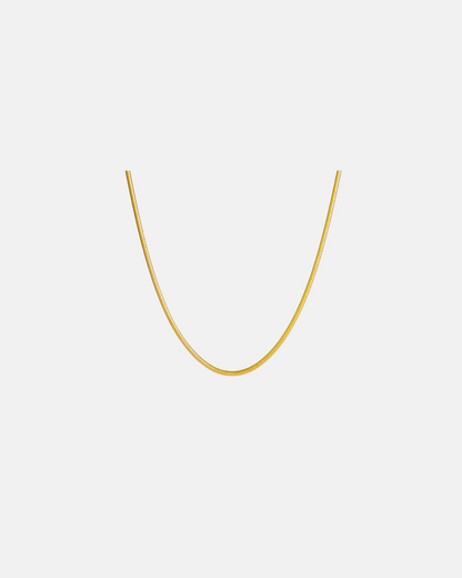Stainless Steel Loro Man's Necklace